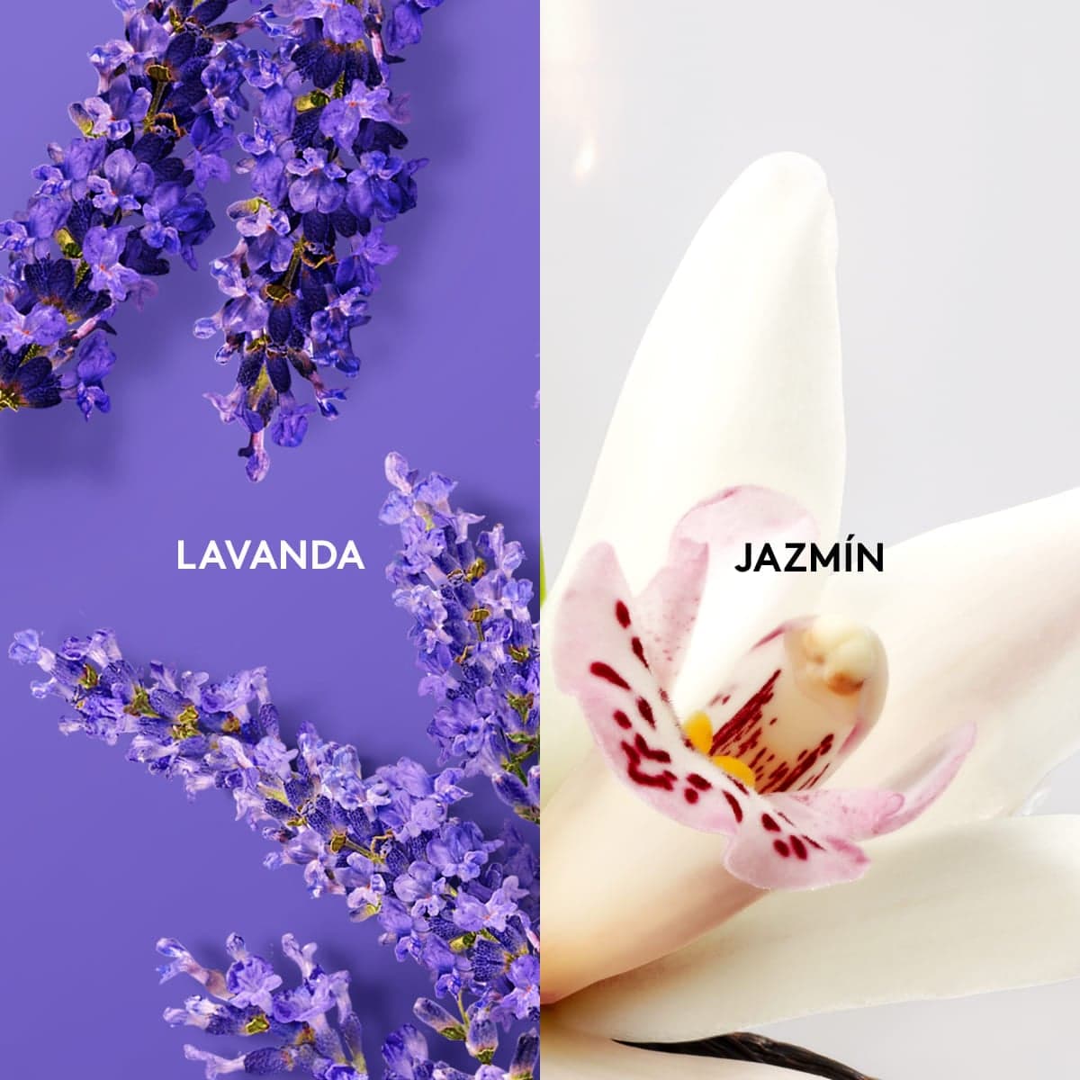 Agú Colonia Relajante Lavanda 1L thumbnail 3